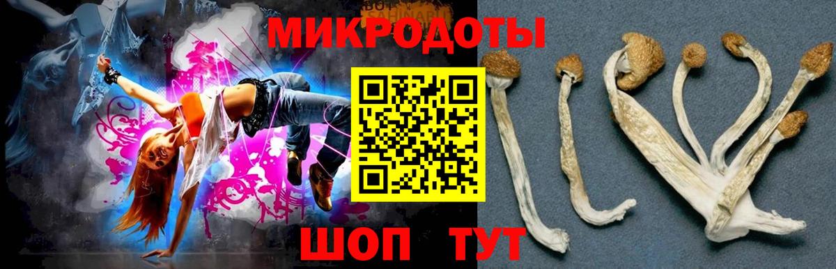 Красногорск  Псилоцибиновые грибы прущие грибы  Вход с VPN  Галлюциногенные грибы прущие грибы 